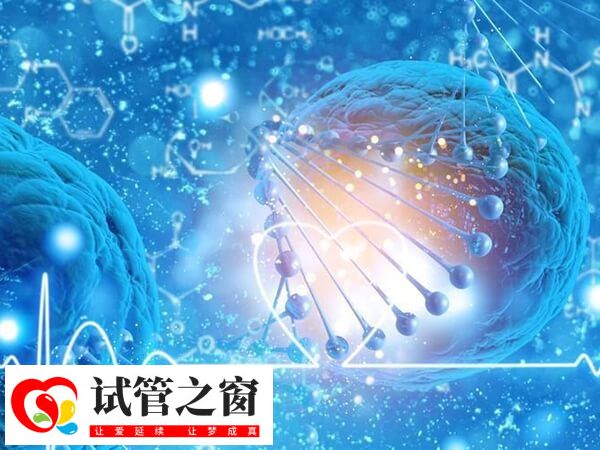 PGT技术可降低下代出现遗传病的概率
