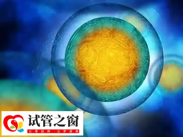 卵泡数量不是决定试管成功率的唯一性