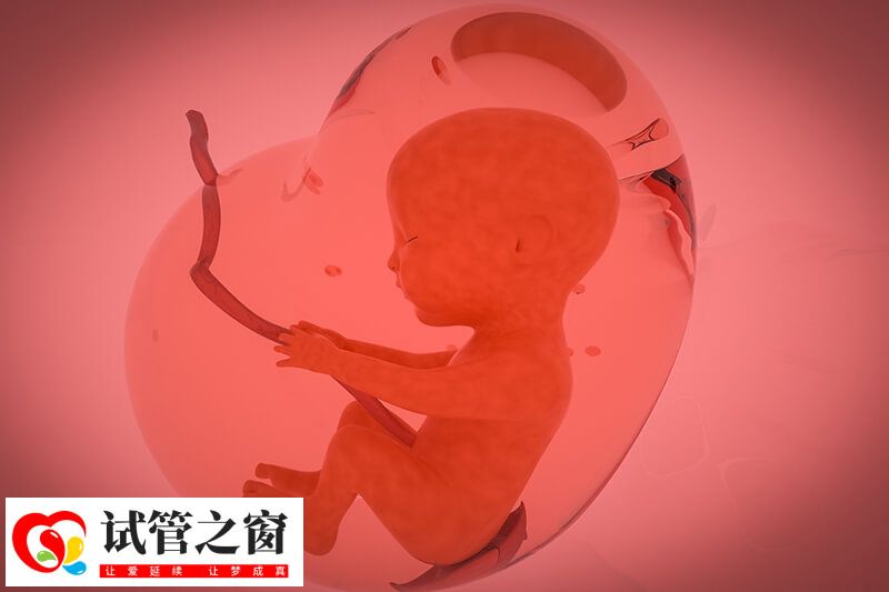 大部分男性做试管婴儿都是手淫法取精