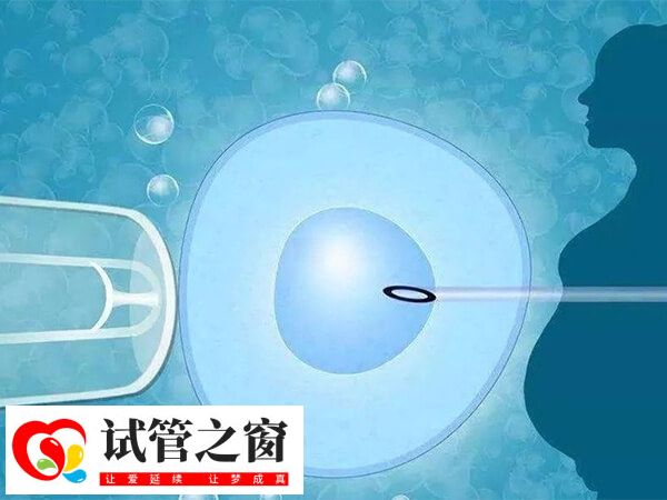 第三代试管比第一代试管更容易成功