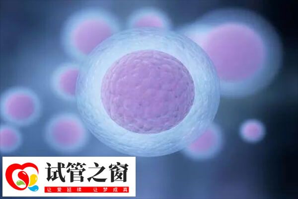 促排三天只有3个卵泡正不正常(图1) 促排卵少与卵巢功能差有关