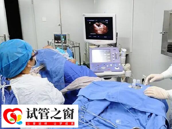 卵泡早排会影响取卵手术