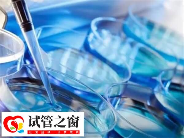 女性闭经后能不能做试管婴儿(图1) 闭经后做试管婴儿得看情况