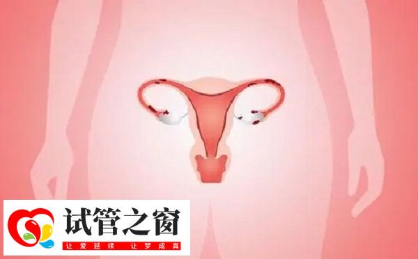 卵巢功能下降或衰竭后很难恢复