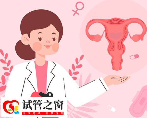始基子宫不能做试管