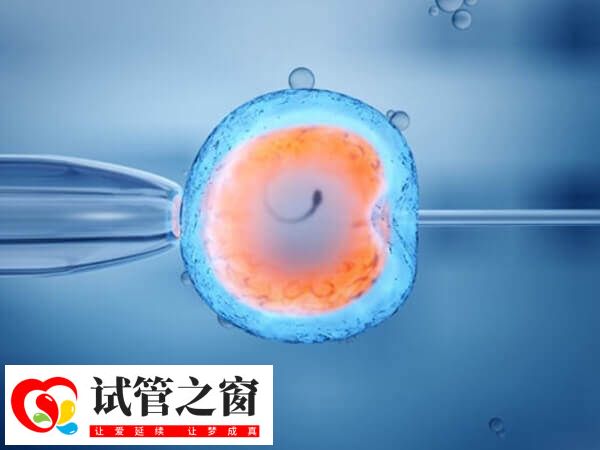 梗阻性无精症能睾丸显微取精做第二代试管婴儿吗?(图1) 梗阻性无精症可以做二代试管助孕