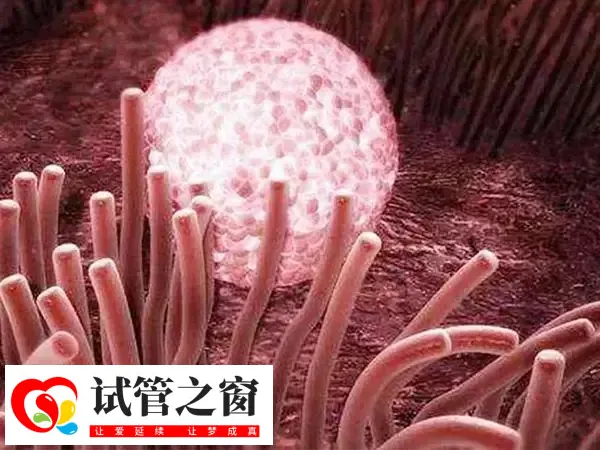 赤峰妇产医院试管设备很先进