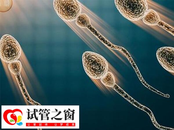 阜新妇产医院试管成功率达60%