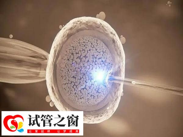 试管一代转二代会不会浪费卵子(图2) 补救ICSI的主要目的是提高受精率