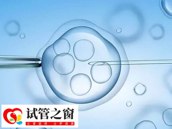 ppos促排ppos促排对女性身体损伤很小