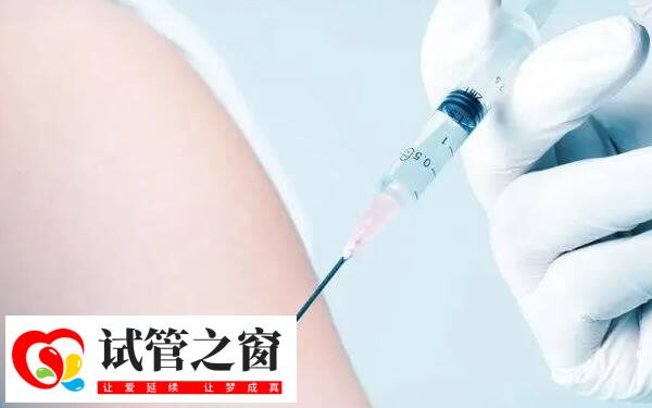 做试管婴儿要打保胎针