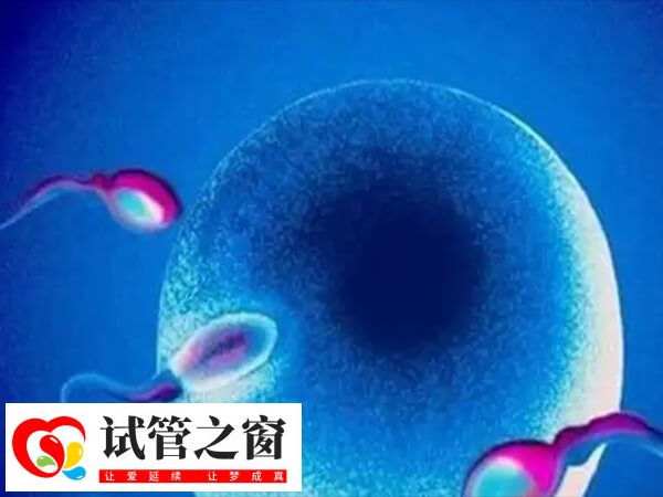 40岁以上的高龄女性自然受孕几率是多少?(图1) 高龄女性自然受孕几率小