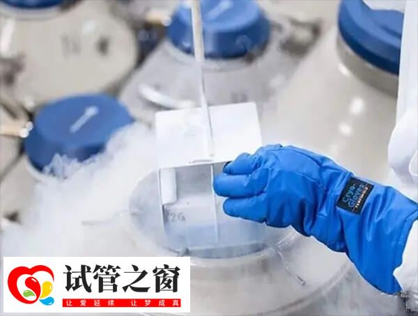 冻胚是放入零下196度的液氮中保存