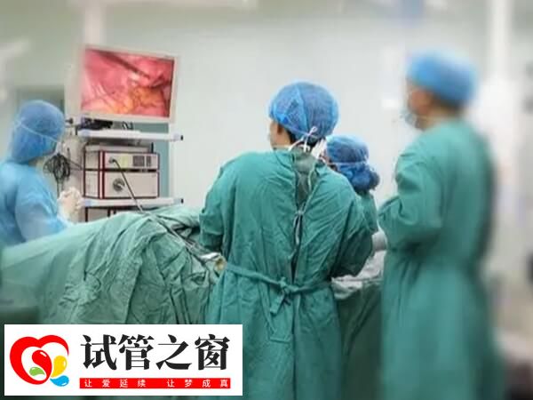 宫腹腔镜联合手术