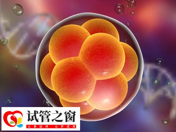 移植一个胚胎也可能是双胞胎