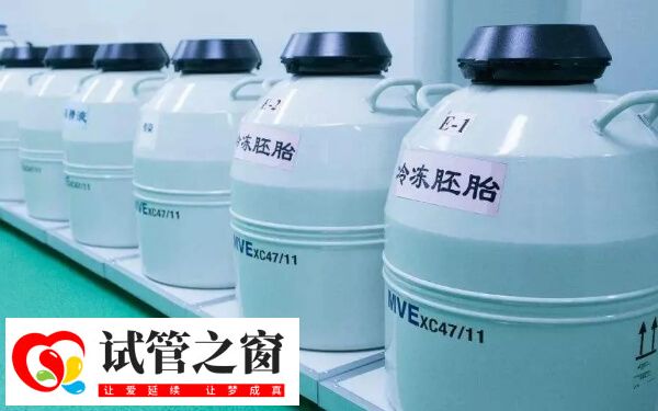 冻胚移植前要先做检查