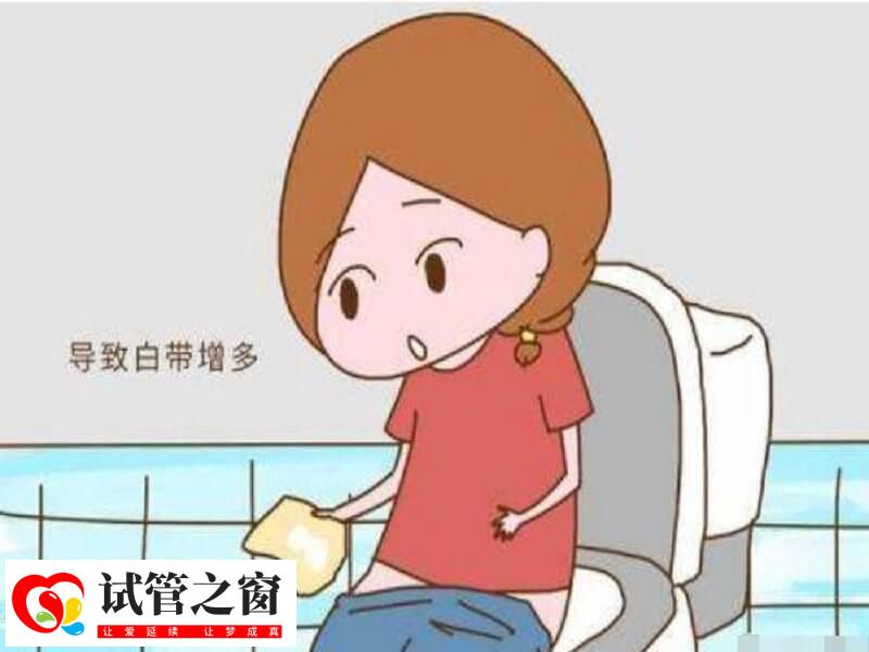 成功怀孕后白带会增多