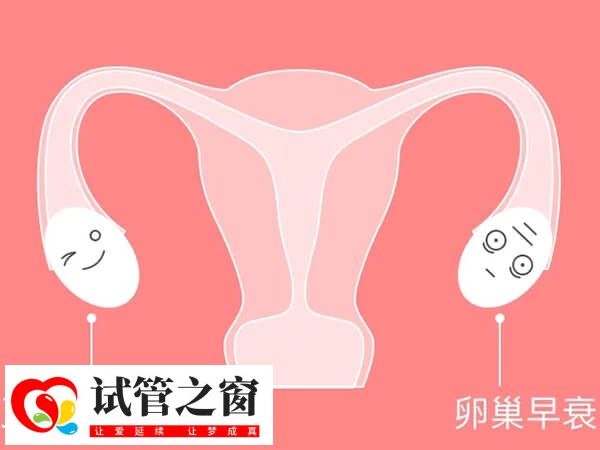 卵巢早衰患者可以做试管婴儿