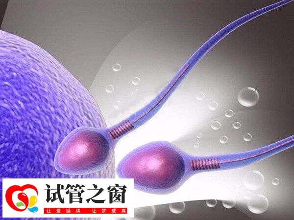 塔城微刺激方案的优势是什么(图1) 卵泡质量不佳的女性可以尝试微刺激方案