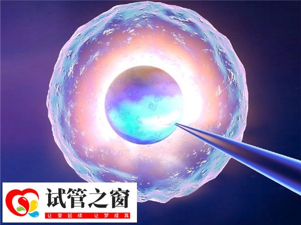 和田保证充足睡眠能稳定内分泌系统从而提升卵子质量吗?(图1) 卵子质量改善的关键在于激素水平