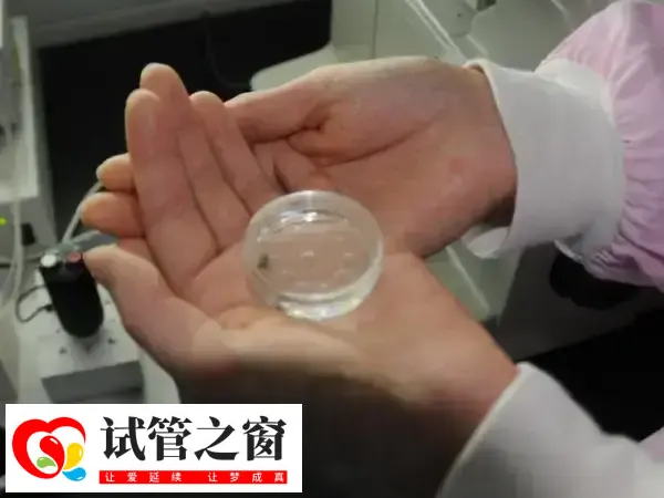 胚胎形态不规则会不会是畸形的(图1) 胚胎形态不规则不一定会是畸形