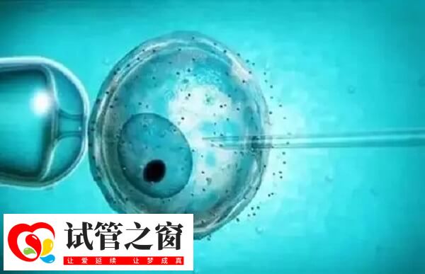 胚胎形态不规则会不会是畸形的(图2) 胚胎形态不规则的原因是比较多的