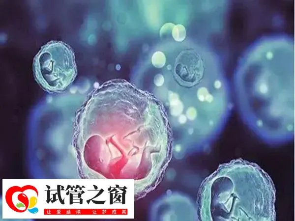 绝经做试管婴儿注意事项有哪些(图1) 绝经做试管婴儿成功率低