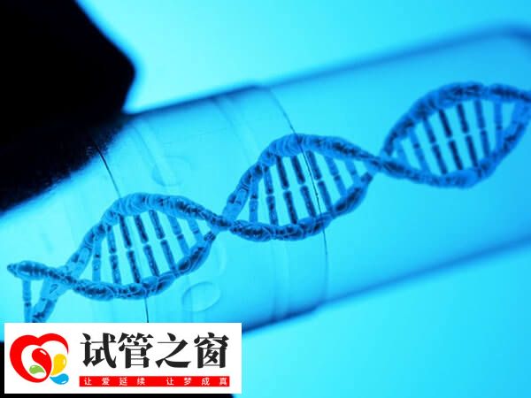 三代试管婴儿流程是什么(图1) 三代试管婴儿流程与常规试管婴儿类似