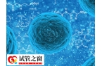 胚胎4ac和4bb哪个好点