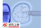 三级胚胎养囊好还是冷冻好