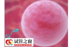 50岁供卵试管婴儿移植成功率有多少