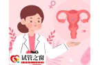 始基子宫能不能做试管
