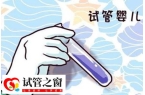 女人适合做试管婴儿助孕的年龄大概是多少岁
