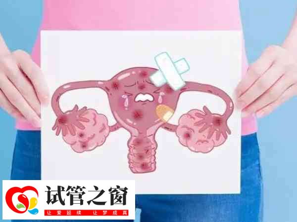 子宫壁0.3厘米正不正常(图1) 子宫内膜过薄会影响生育