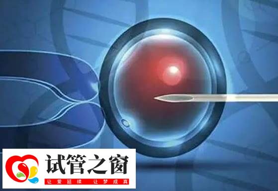 多囊不来月经怎么做试管婴儿(图1) 多囊不来月经不影响促排取卵
