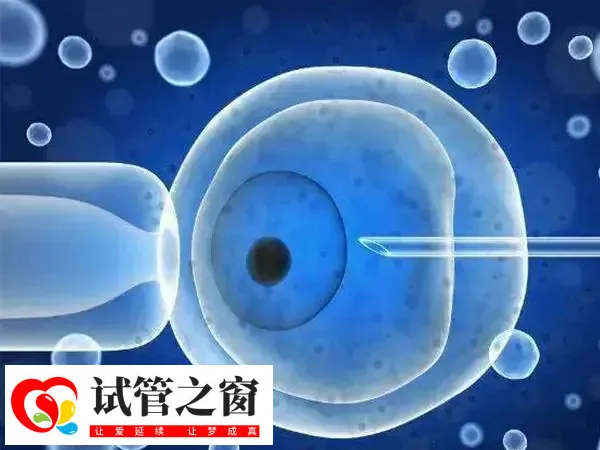 促排是否会导致AMH下降(图1) 促排是试管过程中很重要的环节