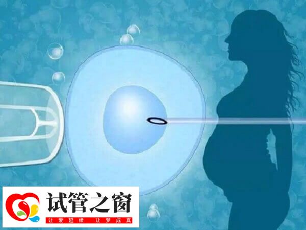 试管婴儿要满足什么条件(图1) 做试管最好不要超过35岁