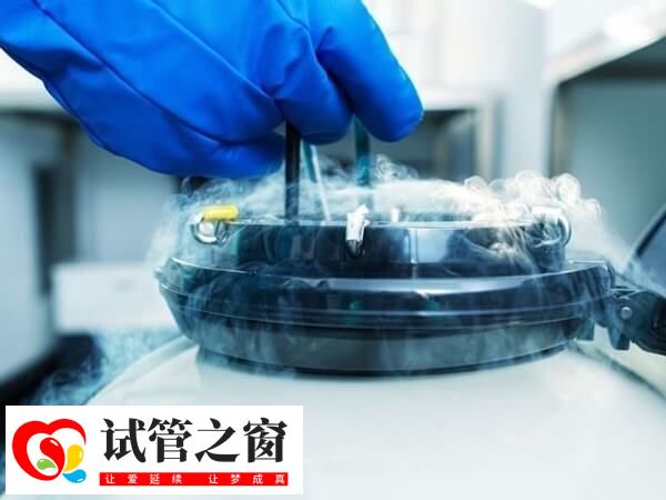 试管婴儿的胚胎分为几种(图1) 胚胎不进行移植可以选择冷冻保存