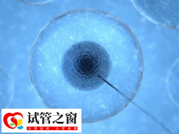 试管婴儿的胚胎分为几种(图2) 临床上囊胚移植成功率高