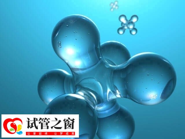 胚胎整倍体+16属于染色体整倍体异常