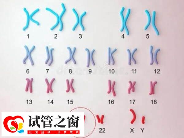 正常情况下有46条染色体