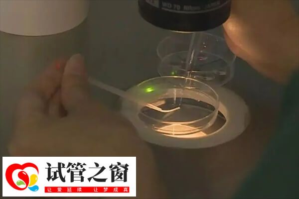 两个胚胎移植是试管治疗的一种选择