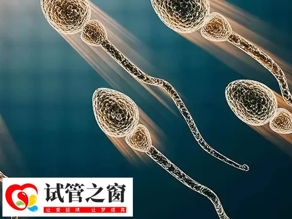 试管婴儿移植后胎停育怎么办(图1) 做试管婴儿也有可能出现胎停