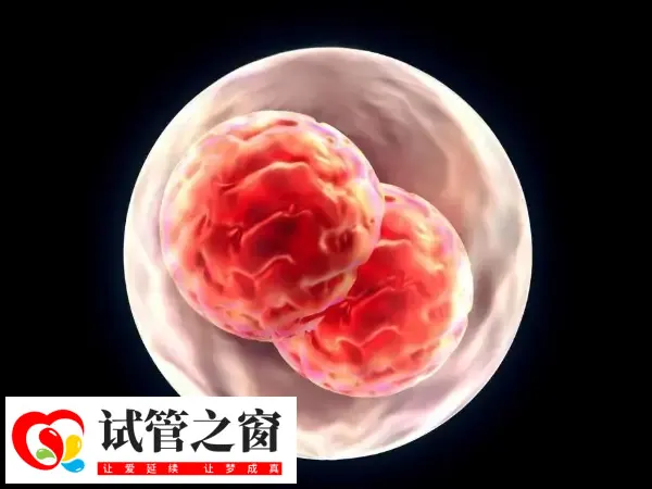 试管婴儿移植后8天测出浅浅的印子的原因是什么(图1) 移植后不要过早验孕