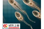 试管婴儿移植后胎停育怎么办